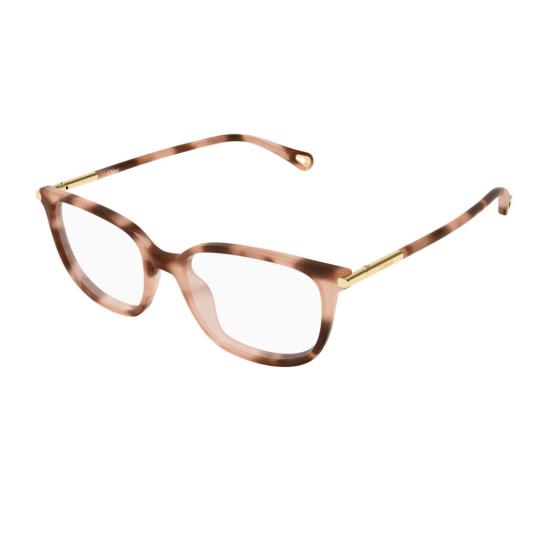 27FW 끌로에 선글라스 1AXY5MH0A Brown - CHLOE