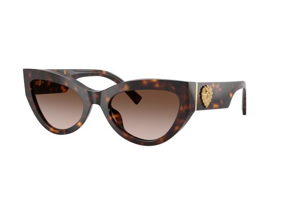 26FW 돌체앤가바나 선글라스 0DG4536 BROWN