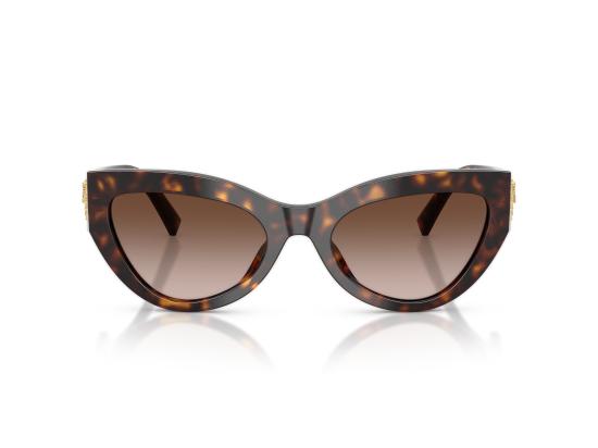 26FW 돌체앤가바나 선글라스 0DG4536 BROWN - DOLCE & GABBANA