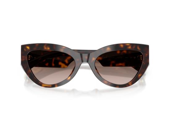 26FW 돌체앤가바나 선글라스 0DG4536 BROWN - DOLCE & GABBANA