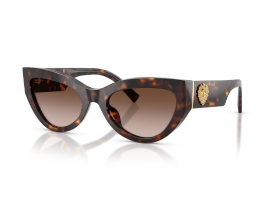 26FW 돌체앤가바나 선글라스 0DG4536 BROWN - DOLCE & GABBANA