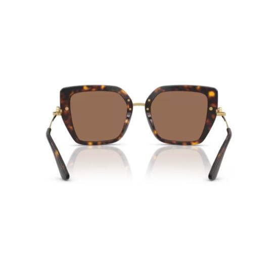 26FW 돌체앤가바나 선글라스 0Dg4474 호피무늬 골드 템플 아세테이트 스퀘어 - DOLCE & GABBANA