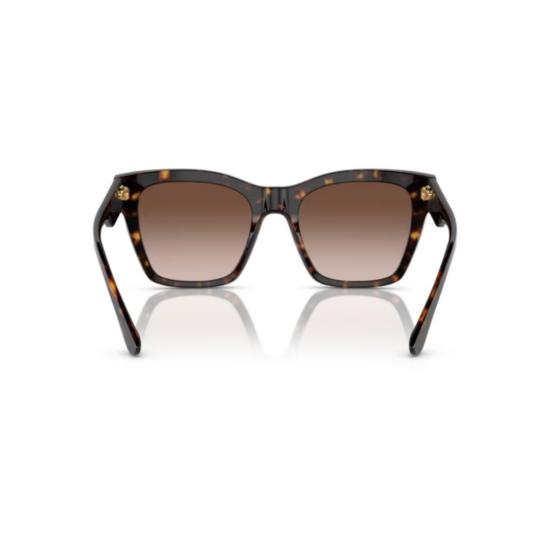 26FW 돌체앤가바나 선글라스 0Dg4384 호피무늬 골드 로고 아세테이트 스퀘어 - DOLCE & GABBANA