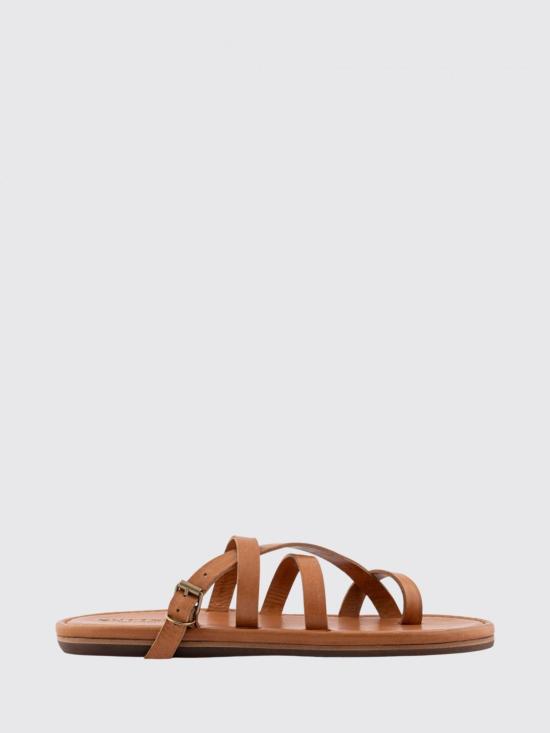 26FW 부테로 힐/펌프스 126BUTTEROB11930ETRUSUG4439 MARRONE Brown