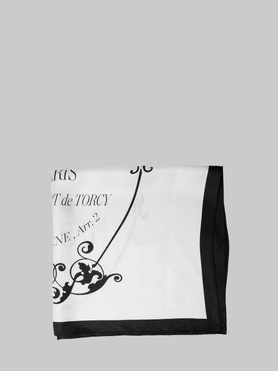 26FW 셀린느 머플러/스카프 2AW905A33 WHITE - CELINE