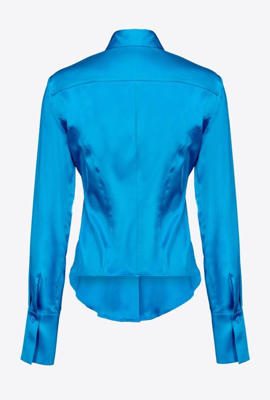  핑코 블라우스 100612ZR64 F71 - PINKO