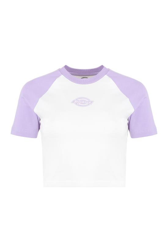  디키즈 반팔 티셔츠 DK0A4Y8JE611 E611 White