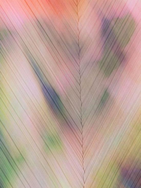  플리츠플리즈 머플러/스카프 PP47AD141 20 - PLEATS PLEASE