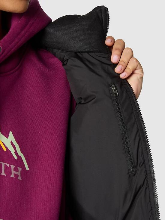  노스페이스 베스트 NF0A853Ojk31 - NORTH FACE