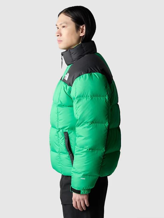  노스페이스 숏패딩 NF0A3Y23 - NORTH FACE