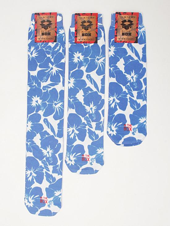  인더박스 양말 IBISCUS