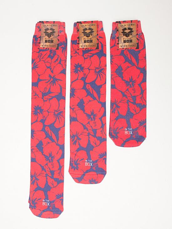  인더박스 양말 상자 내 - IBISCUS - Calzini ROSSO