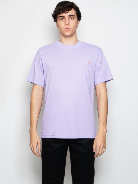  디키즈 반팔 티셔츠 DK0A4TMO