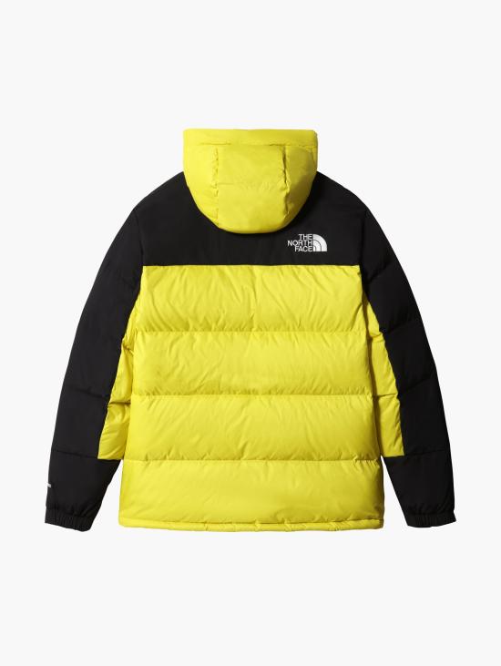 노스페이스 숏패딩 NF0A4QYX - NORTH FACE