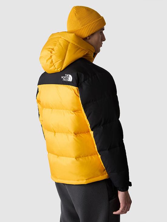  노스페이스 숏패딩 Jack INV 2023 6041 - NORTH FACE