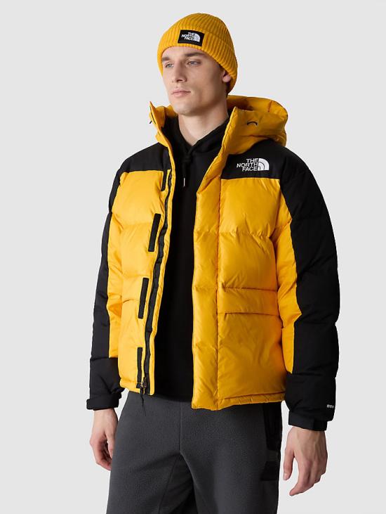 노스페이스 숏패딩 Jack INV 2023 6041 - NORTH FACE
