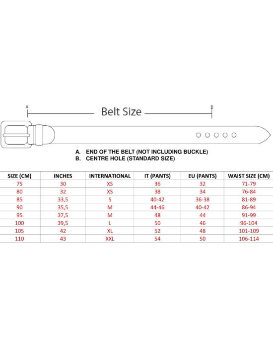26SS 에이치티씨 레귤러 벨트 W22 22WHTCI002 - HTC