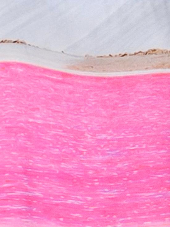  블루스카이인 반팔 셔츠 BS2302SH034 SALT - BLUE SKY INN