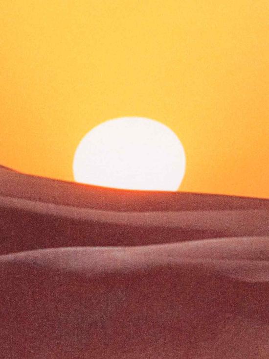  블루스카이인 반팔 셔츠 BS2302SH035 DUNE - BLUE SKY INN