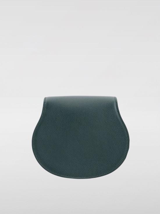 24FW 끌로에 숄더백 CHC22AS680I31 3I9 Green - CHLOE