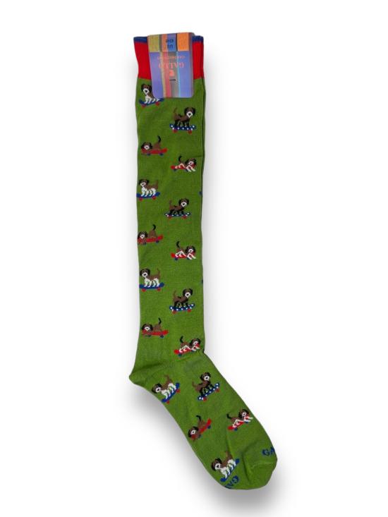 24SS 갈로 1927 양말 AP514834 30583 multicolor - GALLO
