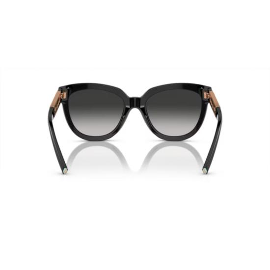  티파니앤코 선글라스 4215 SOLE 80013C - TIFFANY & CO