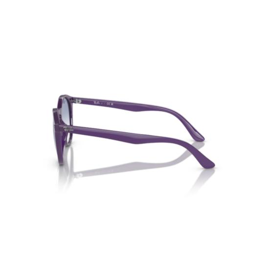  레이밴 선글라스 9064S SOLE 713119 - RAY BAN