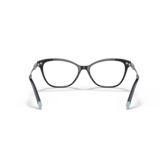  티파니앤코 선글라스 2219B VISTA 8001 - TIFFANY & CO
