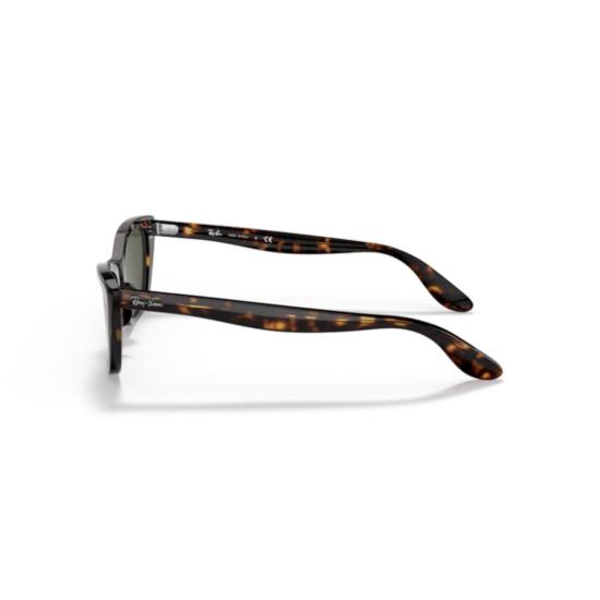  레이밴 선글라스 2299 SOLE 902 31 - RAY BAN