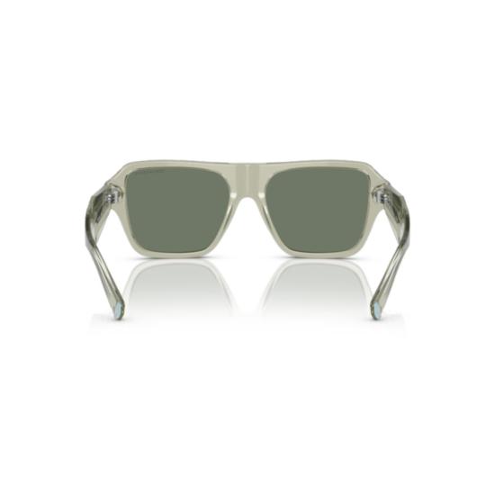  티파니앤코 선글라스 4204 SOLE 83783H - TIFFANY & CO