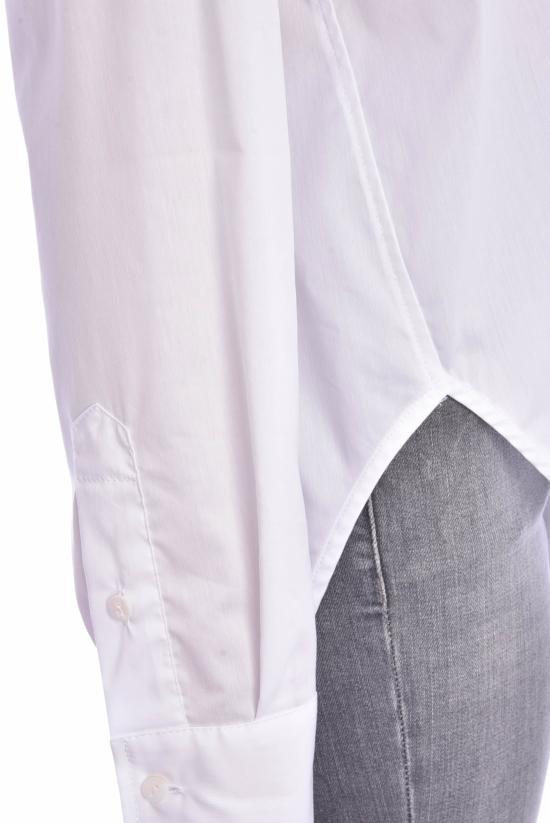  FFC 셔츠 FFC 12419 - FFC