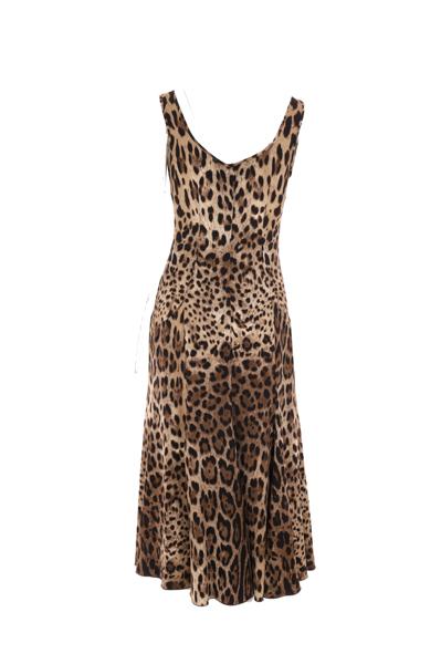  돌체앤가바나 미디 원피스 F6CPUTFSRKIHY13M Brown - DOLCE & GABBANA