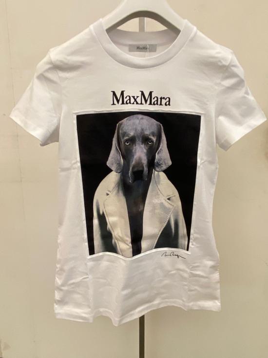 24FW 막스마라 탑 2421946071600 013