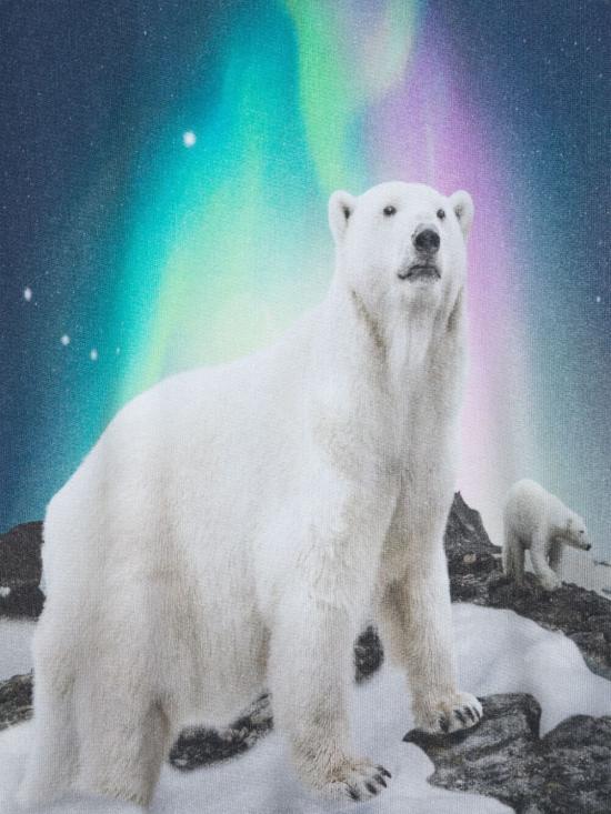 24FW [키즈] 몰로 트레이닝 상의 1W24J201 3705 POLAR NIGHT - MOLO