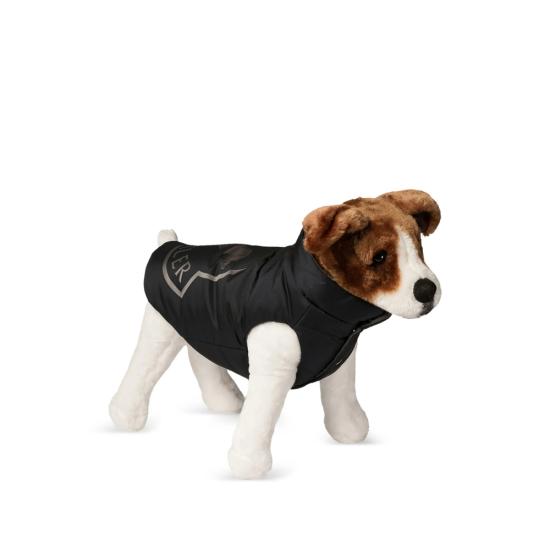 24FW 몽클레어 애견 코트 597T9 3G000 08 P70 BLUE