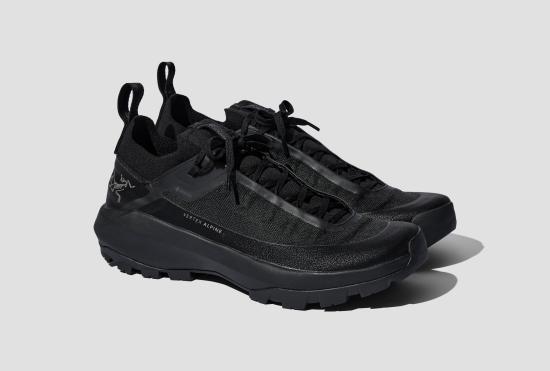  아크테릭스 스니커즈 VERTEX ALPINE GTX  남성용 X000009602 블랙