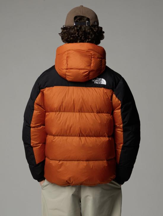 24FW 노스페이스 숏패딩 NF0A4QYX5po1 - NORTH FACE