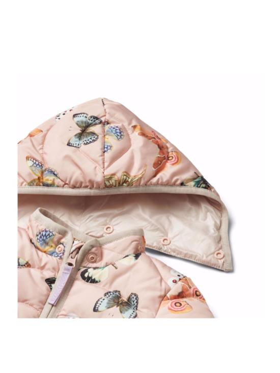 24FW [키즈] 몰로 패딩 5W24M315 9138 BLUSH PAPILLIONS - MOLO