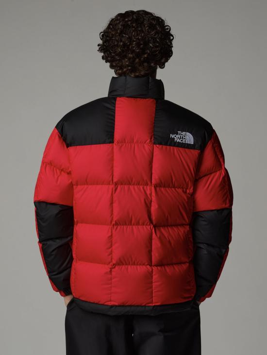 24FW 노스페이스 숏패딩 NF0A3Y236821 - NORTH FACE