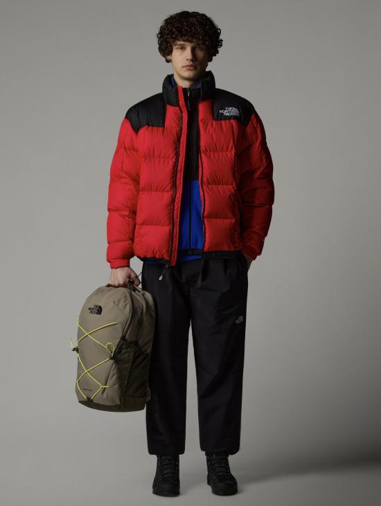 24FW 노스페이스 숏패딩 NF0A3Y236821 - NORTH FACE