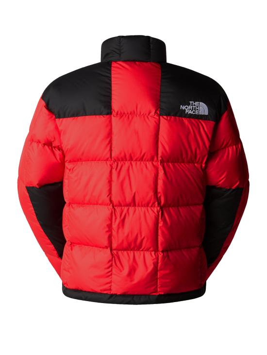 24FW 노스페이스 숏패딩 NF0A3Y236821 - NORTH FACE