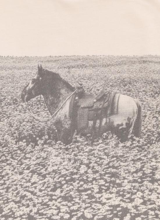 24FW [주니어] 스텔라 맥카트니 탑 TV8A60 Z043450T Pink - STELLA MCCARTNEY