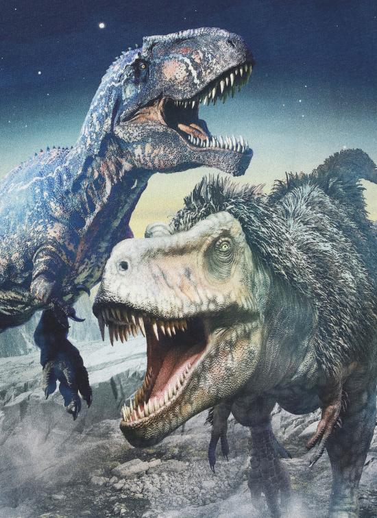 24FW [주니어] 몰로 티셔츠 1W24A407 Rube3646 Blue - MOLO