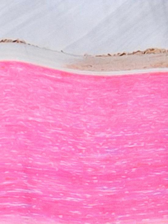  블루스카이인 반팔 셔츠 BS2302SH034SALT Multicolour - BLUE SKY INN