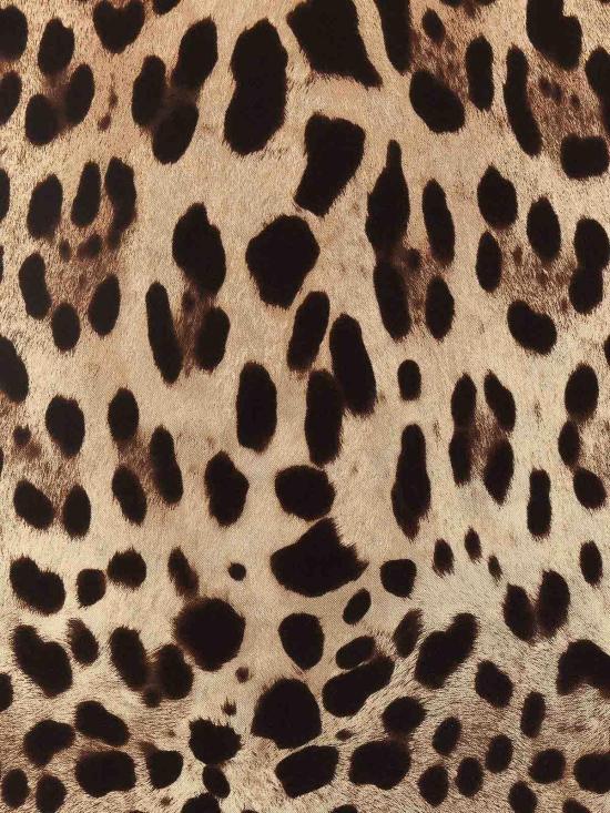 26SS 돌체앤가바나 머플러/스카프 FN090RGDCF5HN13M Multicolour - DOLCE & GABBANA