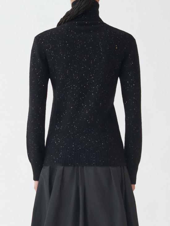 25FW 파비아나 필리피 터틀넥 MAD214F066D296 825 Black - FABIANA FILIPPI