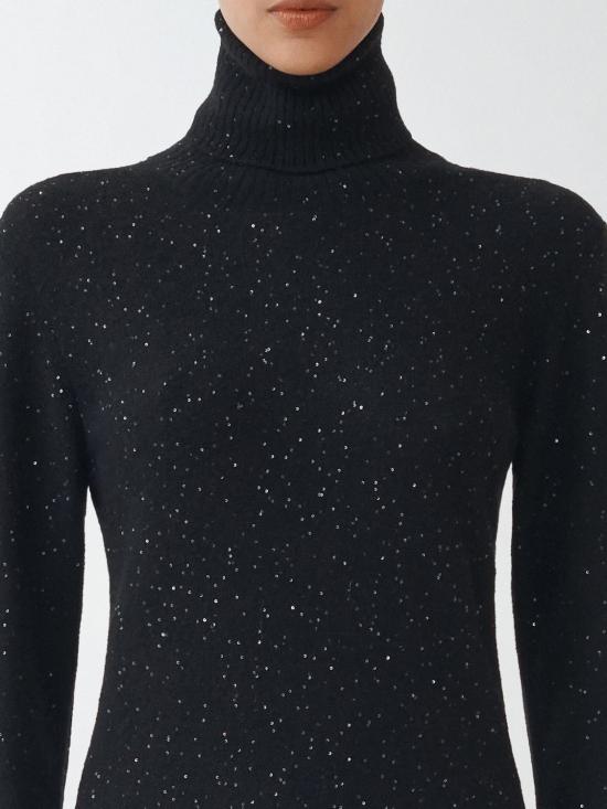 25FW 파비아나 필리피 터틀넥 MAD214F066D296 825 Black - FABIANA FILIPPI