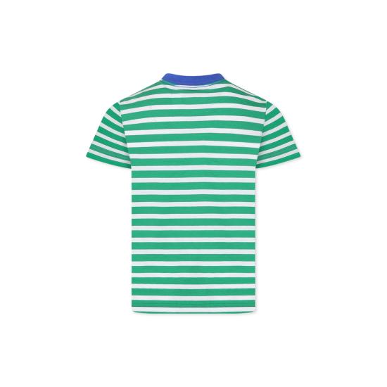 25SS [키즈] 랄프 로렌 티셔츠 958171001 STEM PAPER WHITE GREEN - RALPH LAUREN