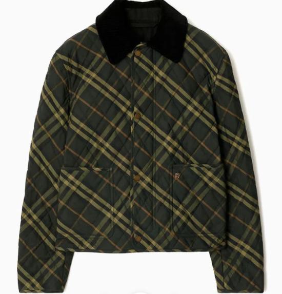 24FW 버버리 자켓 8099632 C1479 Shadow ip check