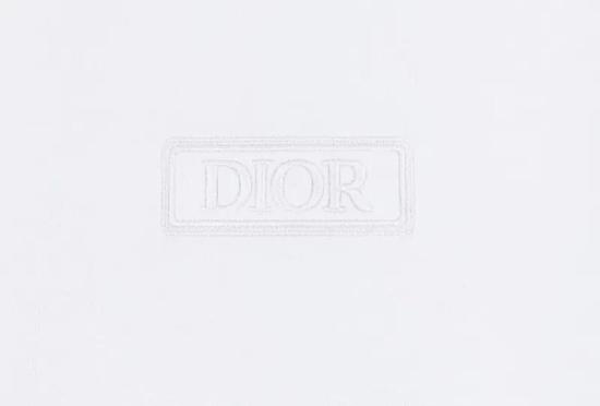  크리스챤디올 반팔 티셔츠 413J650A0862080 DOM - DIOR